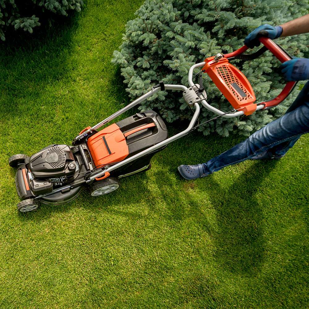 Garden indoor plant maintenance MN Commercial Cleaning